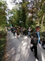 118-dv-wallfahrt-2023