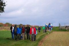 Erbshausen-Sulzwiesen 10-2025