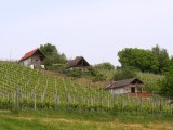15-seniwa-05-2025