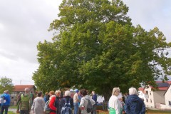 Marktsteinach 09-2025